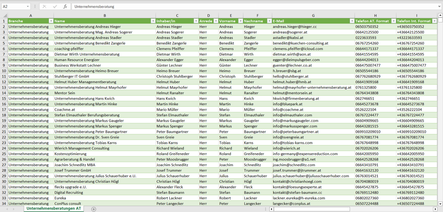 Vorschau der Liste mit den Unternehmensberatungen Adressen