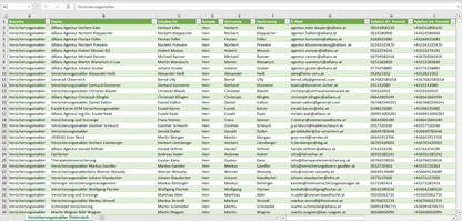 Vorschau der Liste mit den Versicherungsmakler Adressen